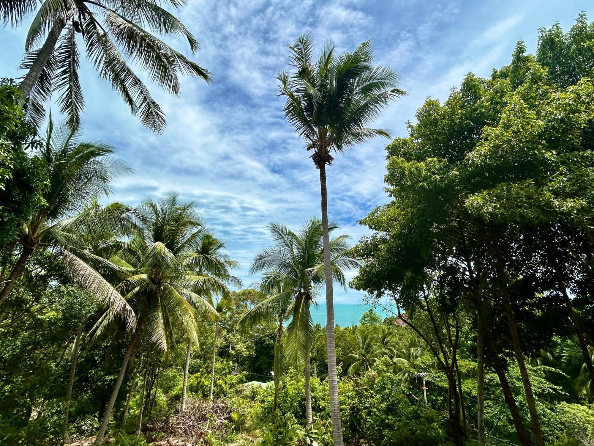 Kalani, Casa vacanze *