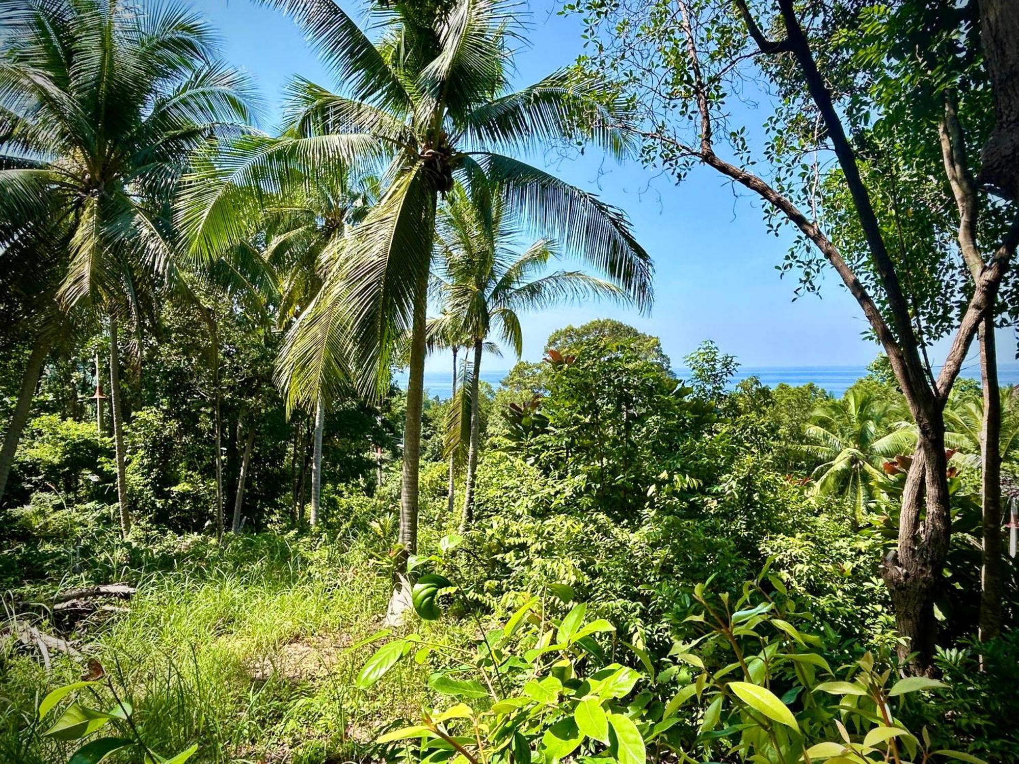 Casa vacanze Kalani, *